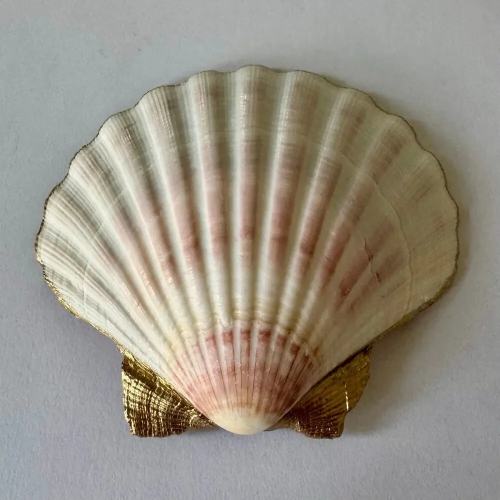 Rose Butterfly Shell Trinket Dish I Floral Ring Jewelry Holder